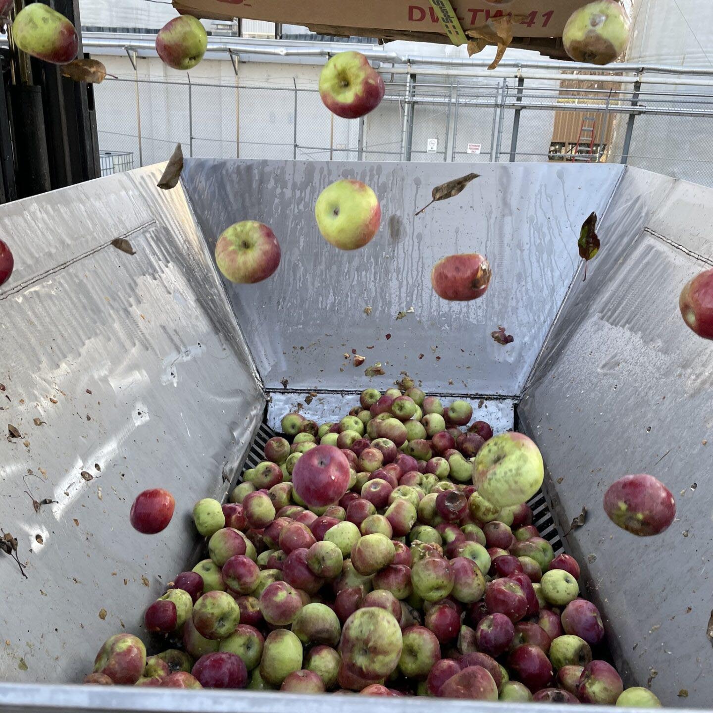 fruit toll processing