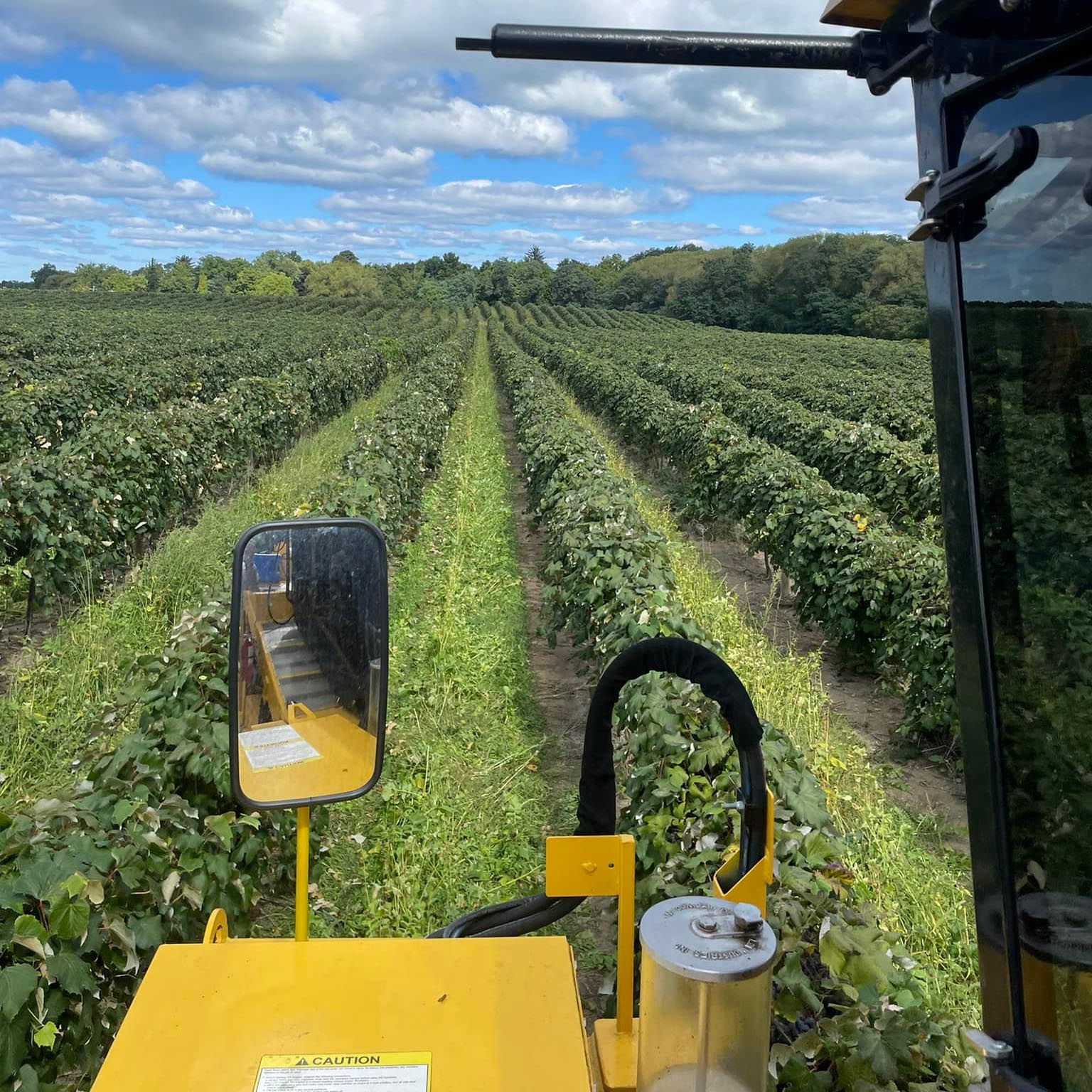 contract toll processing